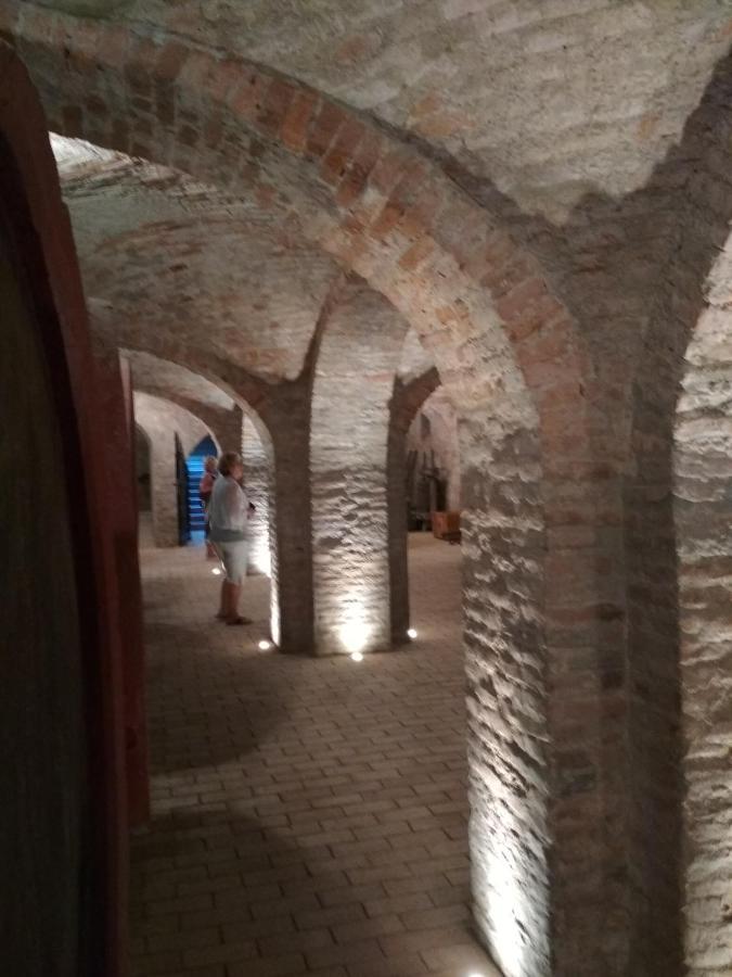 Apartmán Golya Vendeghaz Tiszaug Exteriér fotografie